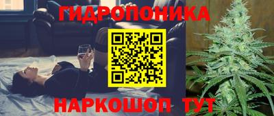 ешки Тверь