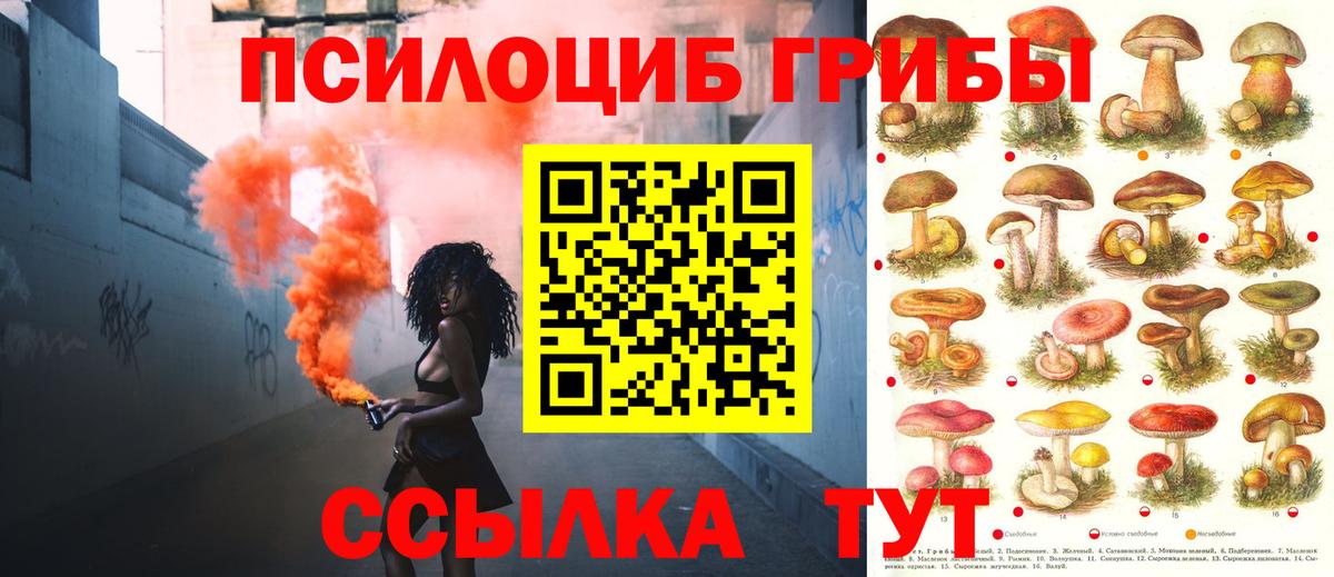Псилоцибиновые грибы GOLDEN TEACHER Партизанск