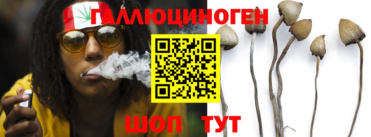 Галлюциногенные грибы GOLDEN TEACHER  Вход с VPN  Партизанск 